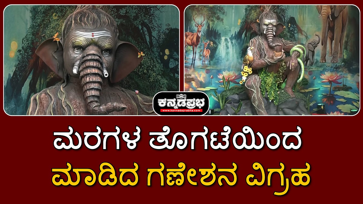ಗುಜರಾತ್: ಮರಗಳ ತೊಗಟೆಗಳಿಂದ ಮಾಡಿದ ಗಣೇಶನ ಮೂರ್ತಿ
